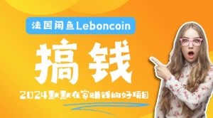 法国闲鱼Leboncoin跨境电商教程：环境邮箱电话解决产品上传及流量，悄悄赚钱【揭秘】-6688资源库