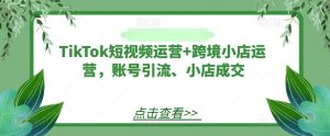 TikTok短视频运营+跨境小店运营，账号引流、小店成交-6688资源库
