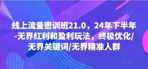线上流量密训班21.0，24年下半年-无界红利和盈利玩法，终极优化/无界关键词/无界精准人群-6688资源库