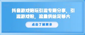 抖音游戏陪玩引流专题分享，引流游戏粉，流量供给足够大-6688资源库