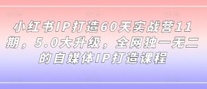 小红书IP打造60天实战营11期，5.0大升级，全网独一无二的自媒体IP打造课程-6688资源库