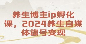 养生博主ip孵化课，2024养生自媒体旗号变现-6688资源库