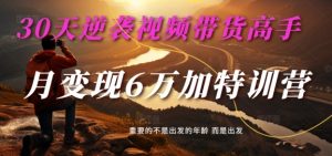 30天逆袭视频带货高手,单月变现6万加特训营-麦子甜-6688资源库