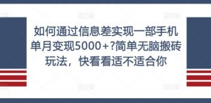如何通过信息差实现一部手机单月变现5000+?简单无脑搬砖玩法，快看看适不适合你【揭秘】-6688资源库