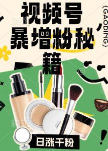 视频号涨粉方法，暴力起号，一天涨粉1000+，当天开橱窗【揭秘】-6688资源库