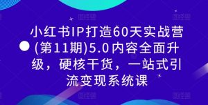 小红书IP打造60天实战营(第11期)5.0​内容全面升级，硬核干货，一站式引流变现系统课-6688资源库