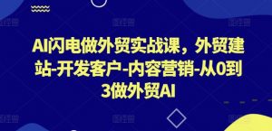 AI闪电做外贸实战课，​外贸建站-开发客户-内容营销-从0到3做外贸AI（更新）-6688资源库