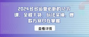 2024多多运营必听的12节课，全程干货，玩法实操，爆款方案尽在掌握-6688资源库