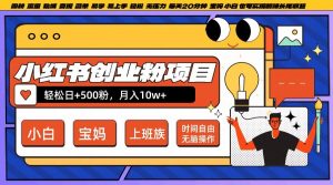 小红书创业粉项目日+500粉，每天20分钟躺赚长尾收益，无脑操作，宝妈，小白抓紧冲【揭秘】-6688资源库