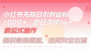 小红书无脑每日引流创业粉500+，小白每天只花半小时，躺赚长尾收益【揭秘】-6688资源库