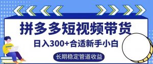 拼多多短视频带货日入300+有长期稳定被动收益，合适新手小白【揭秘】-6688资源库