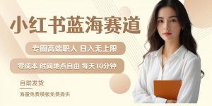 小红书蓝海赛道，圈中高端职场人，月入无上限，可矩阵，内含私域实操教程!-6688资源库