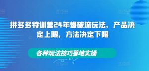 拼多多特训营24年爆破流玩法，产品决定上限，方法决定下限，各种玩法技巧落地实操-6688资源库