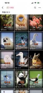 动物科普解说项目，撸创作者伙伴计划收益，保姆级实战教程-6688资源库