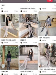 AI打造网红账号，一周收入超5位数，还能矩阵操做-6688资源库