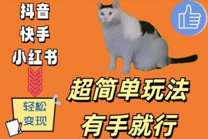 超简单玩法，有手就行，靠猫咪视频日入500+【揭秘】-6688资源库