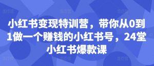 小红书变现特训营，带你从0到1做一个赚钱的小红书号，24堂小红书爆款课-6688资源库