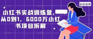 小红书实战训练营，从0到1，6000万小红书项目拆解-6688资源库