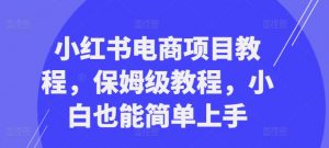 小红书电商项目教程，保姆级教程，小白也能简单上手-6688资源库