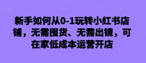 新手如何从0-1玩转小红书店铺，无需囤货、无需出镜，可在家低成本运营开店-6688资源库