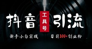 2024最新抖音工具号引流玩法，高效日引300+创业粉，当天变现5k，小白也可成为实战高手-6688资源库