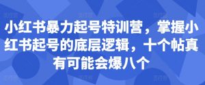 小红书暴力起号特训营,掌握小红书起号的底层逻辑,十个帖真有可能会爆八个-6688资源库