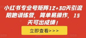 小红书专业号矩阵12+30天引流陪跑训练营，简单易操作，15天可出成绩!-6688资源库