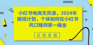 小红书电商无货源,2024年搞钱计划,个体如何在小红书风口赚到第一桶金-6688资源库