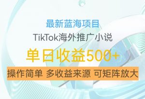 最新蓝海项目，利用tiktok海外推广小说赚钱佣金，简单易学，日入500+，可矩阵放大【揭秘】-6688资源库