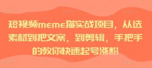 短视频meme猫实战项目，从选素材到把文案，到剪辑，手把手的教你快速起号涨粉-6688资源库
