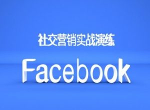 Facebook社交营销实战演练，外贸人绝对不能错过的营销推广平台-6688资源库