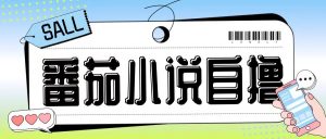 最新番茄小说自撸玩法,无需手机,无需双清,成本极低日入200+【揭秘】-6688资源库