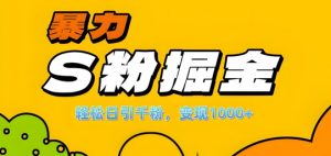 单人单机日引千粉，变现1k+，S粉流量掘金计划攻略【揭秘】-6688资源库