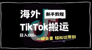 2024最新海外TikTok搬运玩法，一键去重轻松过原创，新手无经验也能日入1k【揭秘】-6688资源库