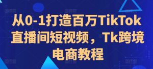 从0-1打造百万TikTok直播间短视频,Tk跨境电商教程-6688资源库