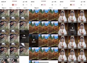 狗熊岭快手连怼技术，好物，涨粉都可以连怼-6688资源库