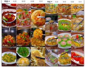 抖音带货美食领域课程,无需真人实拍仅靠剪辑实现涨粉-6688资源库