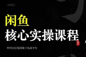 2024闲鱼核心实操课程，从养号、选品、发布、销售，教你做一个出单的闲鱼号-6688资源库