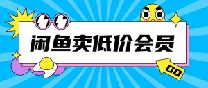 外面收费998的闲鱼低价充值会员搬砖玩法号称日入200+-6688资源库