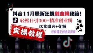 抖音11月最新狂揽创业粉秘籍，轻松日引300+精准创业粉，仅需图片+音频，轻松搞定创业类视频-6688资源库