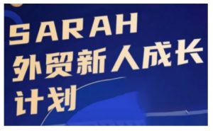 外贸新人成长计划，外贸新人学起来，偷偷让自己变强大-6688资源库