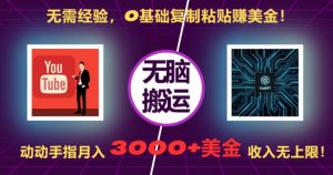 无需经验，0基础复制粘贴赚美刀，动动手指，月入3000+刀，无上限【揭秘】-6688资源库