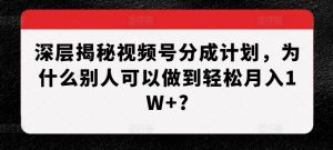 深层揭秘视频号分成计划，为什么别人可以做到轻松月入1W+?-6688资源库