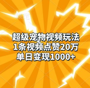 超级宠物视频玩法，1条视频点赞20万，单日变现1k-6688资源库