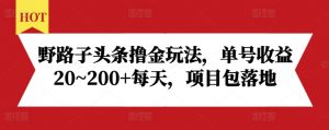 野路子头条撸金玩法，单号收益20~200+每天，项目包落地-6688资源库