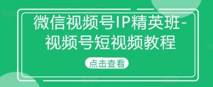 微信视频号IP精英班-视频号短视频教程-6688资源库