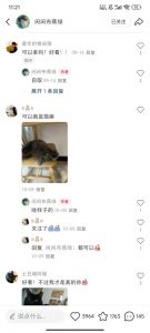 小红书私人定制图项目，附赠一单4W渠道【揭秘】-6688资源库