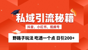 私域流量的精准化获客方法 野路子玩法 吃透一个点 日引200+ 【揭秘】-6688资源库