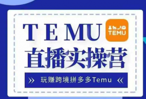 Temu直播实战营,玩赚跨境拼多多Temu,国内电商卷就出海赚美金-6688资源库