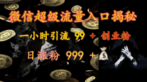 微信超级流量入口揭秘：一小时引流 99 + 创业粉，日涨粉 999 +-6688资源库